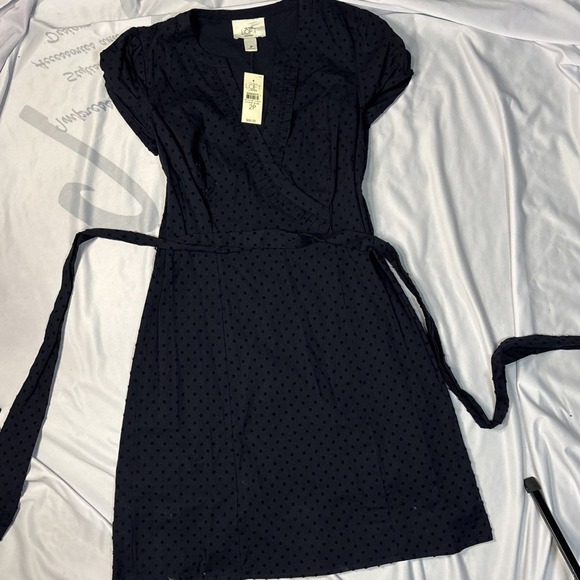 LOFT Dresses & Skirts - NWT Ann Taylor Loft - Navy/Embroidered Dot Dress, 2 Petite